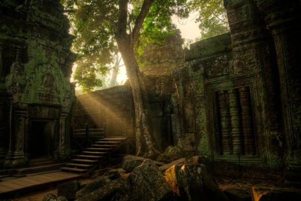 Ta-Prohm-temple-Cambodia-4-1024x684